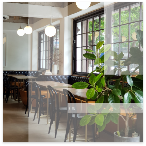 Leon logo overlay on restaurant interior with tables and plants.